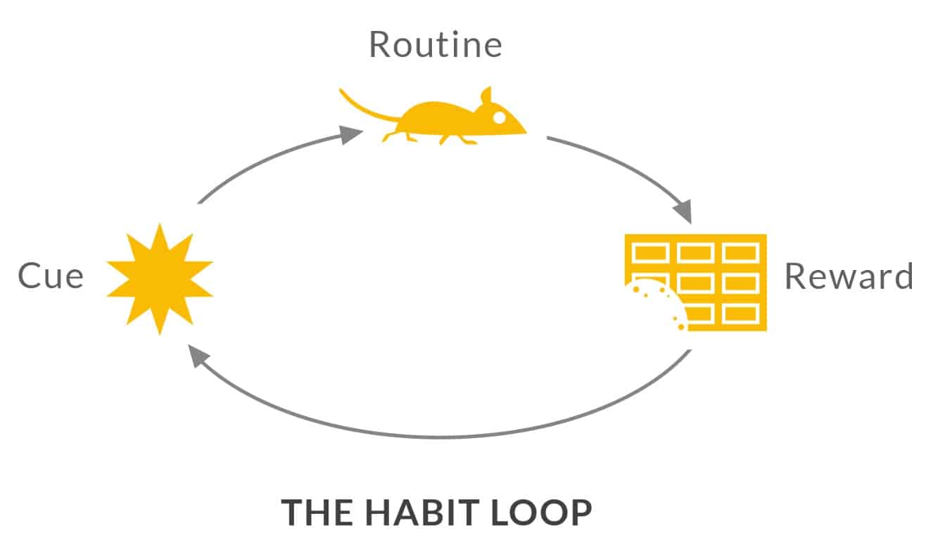 Duhiggs habit loop